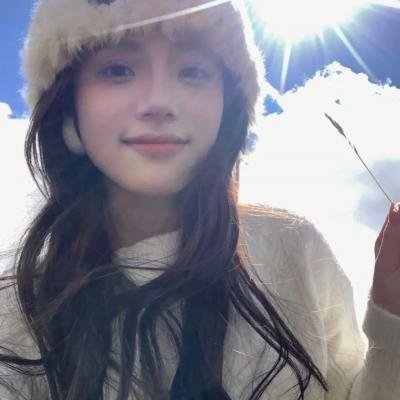 布里斯比熊
